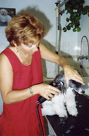 cut3.jpg