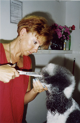 cut5.jpg