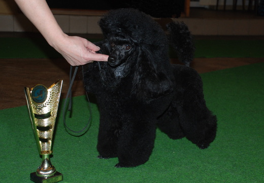 DSC_0177 - kopie.JPG