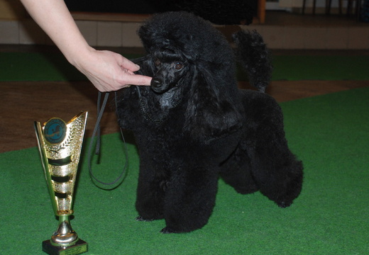 DSC_0177 - kopie.JPG