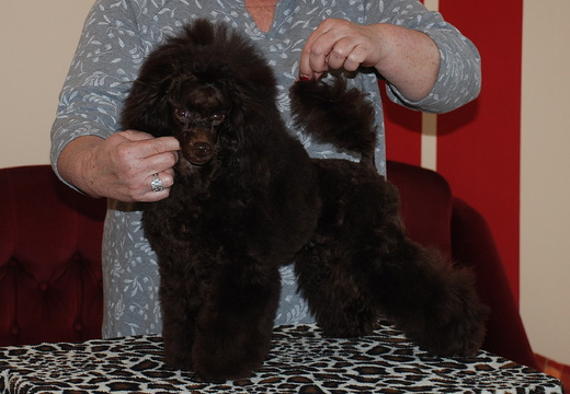 DSC_0221 - kopie.JPG
