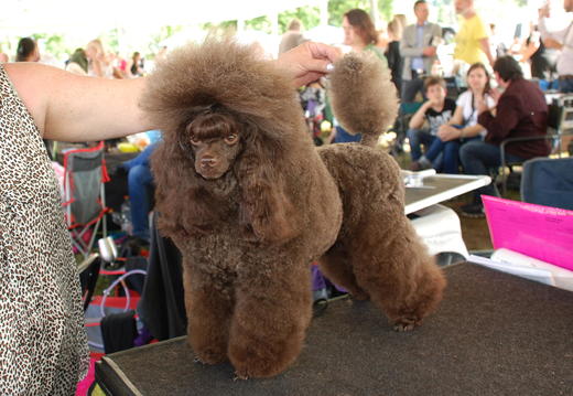 DSC_9122.JPG DSC_9122.JPG