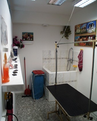 Pic06.jpg
