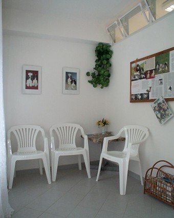 Pic11.jpg