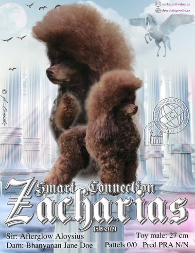 Zacharias_final.jpg